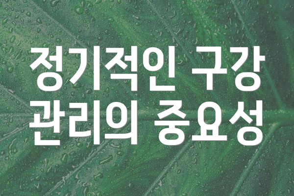 정기적인 구강 관리의 중요성