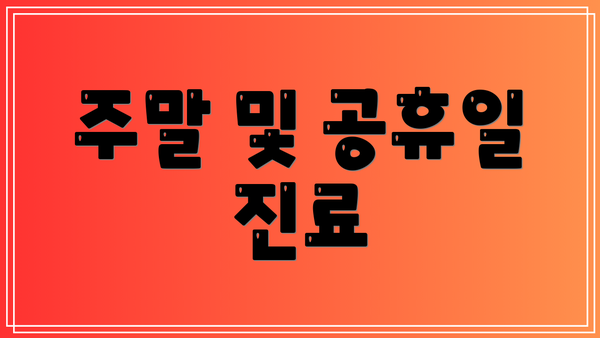 주말 및 공휴일 진료