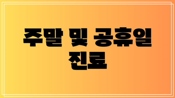 주말 및 공휴일 진료