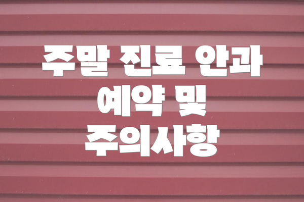 주말 진료 안과 예약 및 주의사항