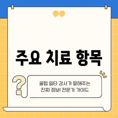주요 치료 항목