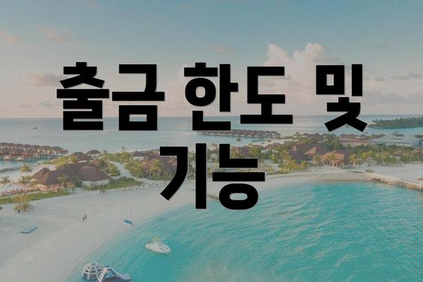 출금 한도 및 기능