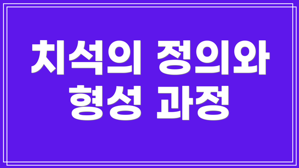 치석의 정의와 형성 과정