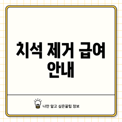 치석 제거 급여 안내