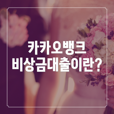 카카오뱅크 비상금대출이란?