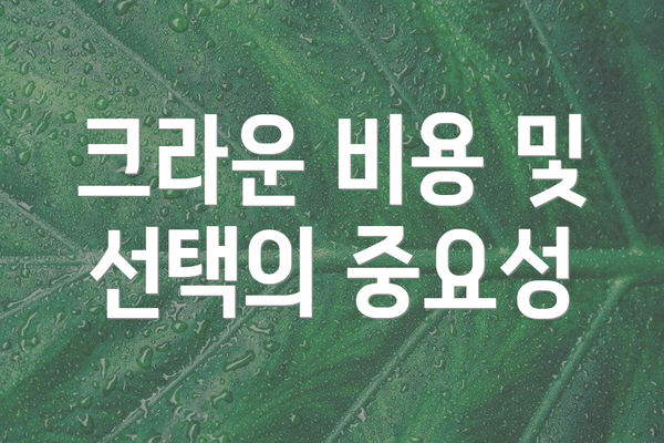 크라운 비용 및 선택의 중요성
