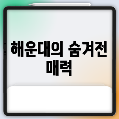 해운대의 숨겨진 매력