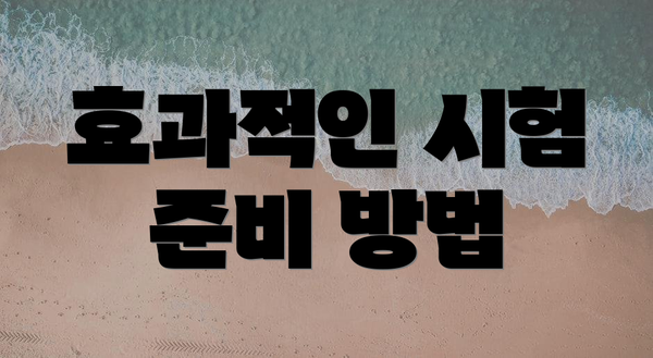 효과적인 시험 준비 방법