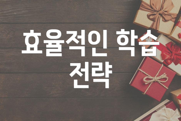 효율적인 학습 전략