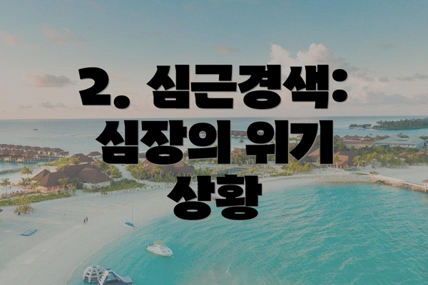 2. 심근경색: 심장의 위기 상황