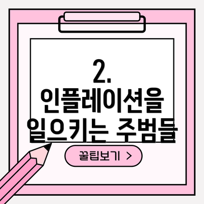 2. 인플레이션을 일으키는 주범들