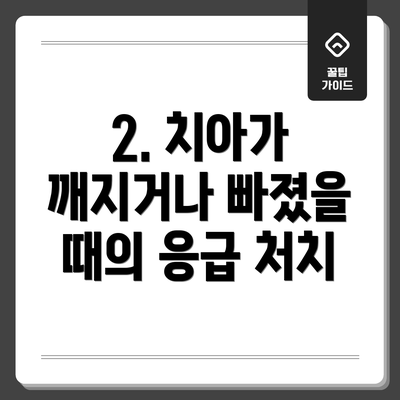 2. 치아가 깨지거나 빠졌을 때의 응급 처치
