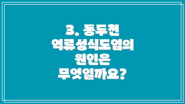 3. 동두천 역류성식도염의 원인은 무엇일까요?