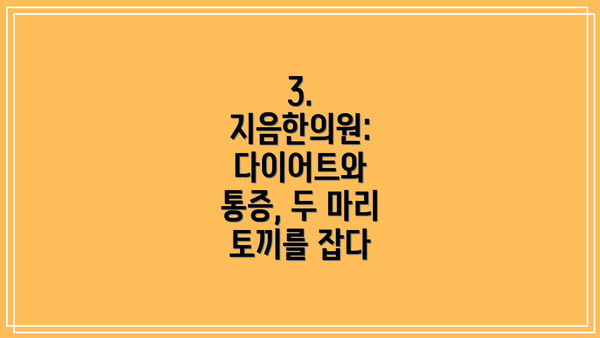 3. 지음한의원: 다이어트와 통증, 두 마리 토끼를 잡다
