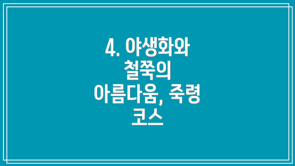 4. 야생화와 철쭉의 아름다움, 죽령 코스