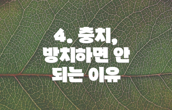 4. 충치, 방치하면 안 되는 이유