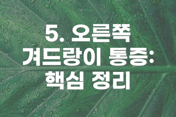 5. 오른쪽 겨드랑이 통증:  핵심 정리